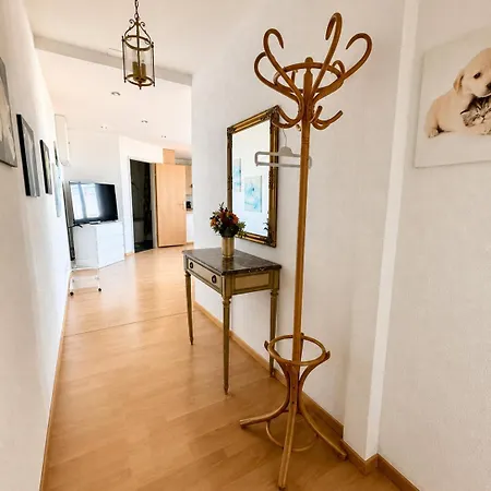 Apartment View Rorschach