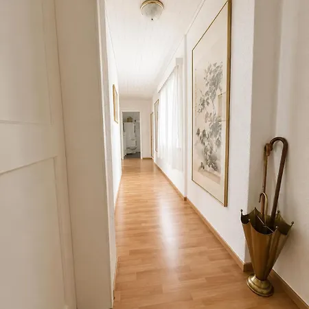 View Apartment Rorschach